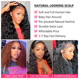 Curly Human Hair Wigs 13x4 Hd Deep Curly Lace Frontal Brazilian Wigs For Black Women Human Hair 4x4 Glueless Wigs Pre Plucked
